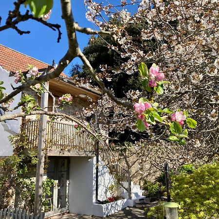 Westbury Cross House Bed & Breakfast 외부 사진