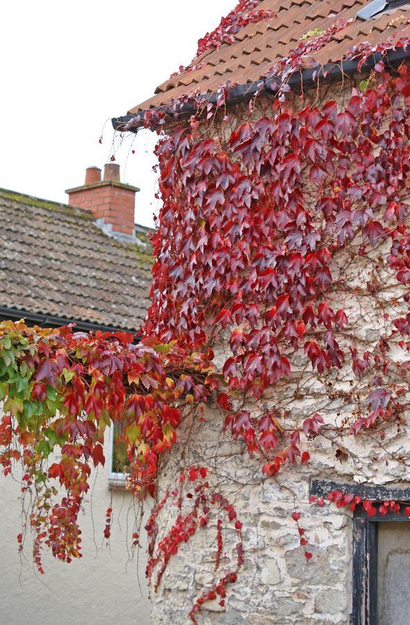 Westbury Cross House Bed & Breakfast 외부 사진